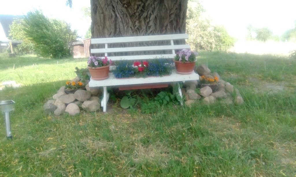 Das Haus Am Teich Gross Grabow Bagian luar foto