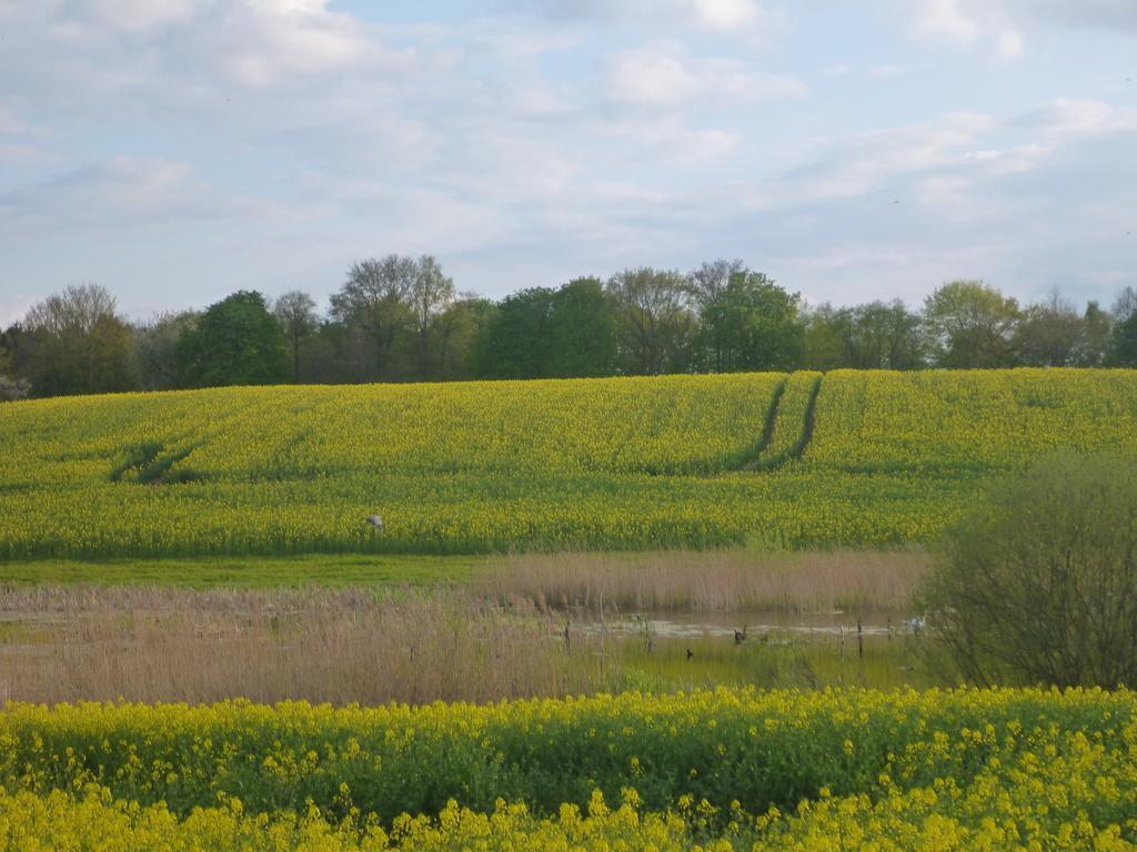 Das Haus Am Teich Gross Grabow Bagian luar foto