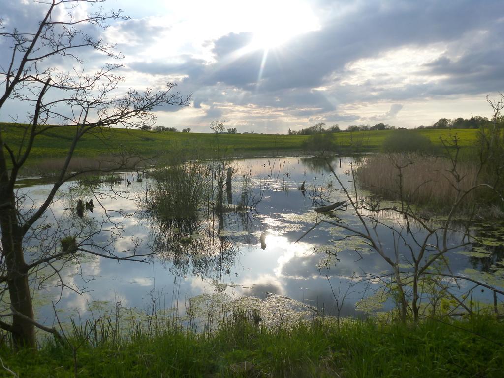 Das Haus Am Teich Gross Grabow Bagian luar foto